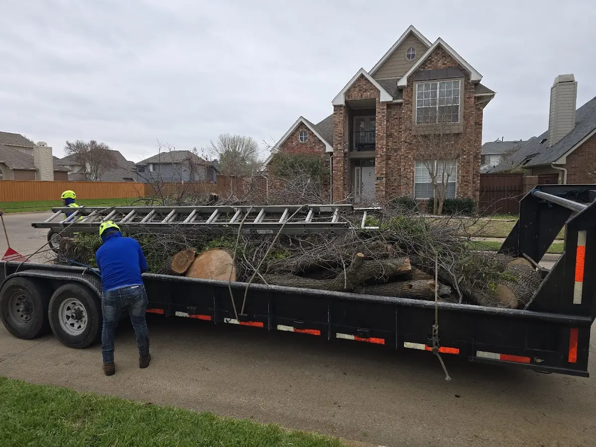 Expert Tree Fertilization with proper safety equipment in Register